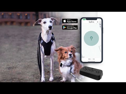 SpÄra Hund | Prenumeration